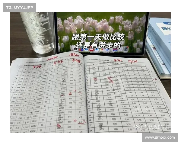 外域征途成功之道七大必备步骤详解助你稳步前行