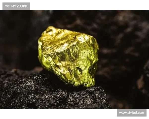 全球金矿石资源分布及其影响因素的综合分析与研究
