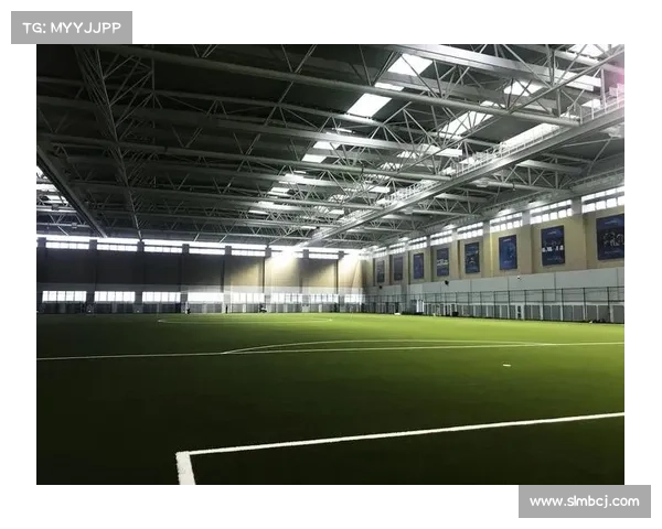 成功足球青训体系的核心要素与建设路径分析