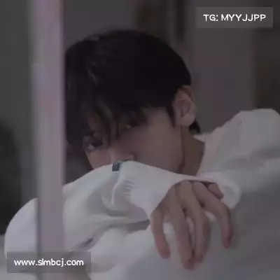 皮蝶研